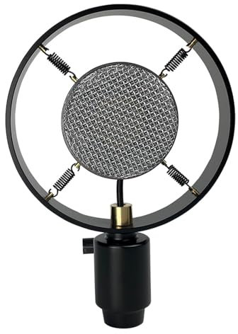 LLHCF Microphone professionnel à condensateur vintage pour studio radio en direct et chant