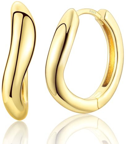 Ohrringe Silber 925 Ohrstecker für Damen Mädchen, 14k Vergoldet Creolen Schmuck Geschenk