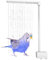 Vogeldusche Für Wellensittiche, Papageiendusche, Vogeldusche Wellensittich, Papageienbad, Käfigbrunnen Duschkopf, Multifunktionaler Mit Mehreren Wasserhähnen, Für Sittiche