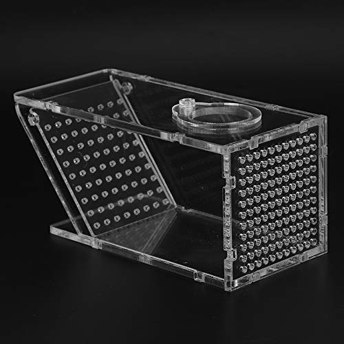 KIMISS Fischfallen-Fangbox für Aquarien – Einweg-Design für Krabben und Garnelen aus Acryl, Benutzerfreundlicher Schädlingsfänger