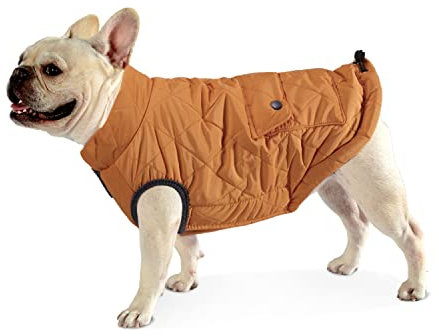 Dociote Hund Wintermantel Winterjacke mit Krageloch, Tasche, Baumwolle Gepolstert Hundemantel Weste für kleine Hunde L Orange