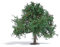 Busch 3652 Baum Apfelbaum 75mm 1St.