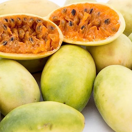 20 Unids/bolsa Plátano Maracuyá Semillas Natural Fácil Planta Clima Tropical Bonsai Jardín Semillas de Frutas Flores Semillas Flor Árbol Frutal Semillas Vegetales Semillas de banano maracuyá