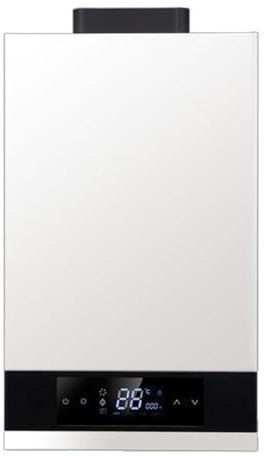 WHYATT Chauffe Eau Gaz, Chauffe-Eau à Gaz Extérieur 12L, Affichage Numérique, Adapté Au Camping, Au Camping-Car Et à La Cabine