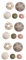 Kisangel 15 STK Muschelschale Seeigel Glasdekor Aquarium Muschel Muscheln basteln Ornament künstliche Pflanzen Blumenbehälter Muschel-Pflanzenhalter Mini Halterung Zubehör schmücken Anlage