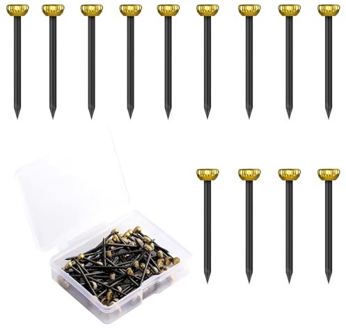 60pcs Picture Hanging Nails with Brass Heads – Masonry Pins for Wall Art, Includes Storage Box for Easy Organization
