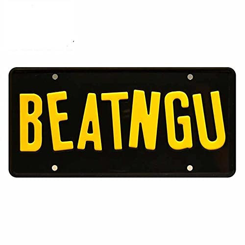 13 cm x 6,4 cm für Beatngu Text Auto Auto Aufkleber und Aufkleber VAN RV JDM