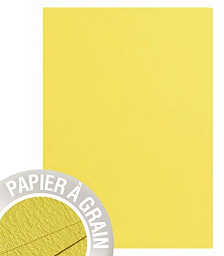 Clairefontaine - Ref 48251C - Pollen Grained Paper (Pack of 25 Sheets) - A4 Sized, 210gsm Grained Card, Acid Free, Inkjet & Laser Printer Compatible - Watermelon