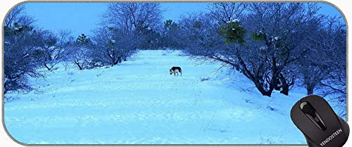 Tapis de souris XXL - Motif loup gris avec bords cousus