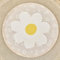 Ginger Ray Daisy Flowers Shaped Paper Luncheon Napkins Party Tableware 8 Pack, Pastel