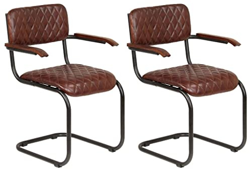 QZZCED Esszimmerstühle mit Armlehnen, 2 Stück, echtes Leder, braun, ergonomisch, Vintage, für Esszimmer und Büro, einfache Montage