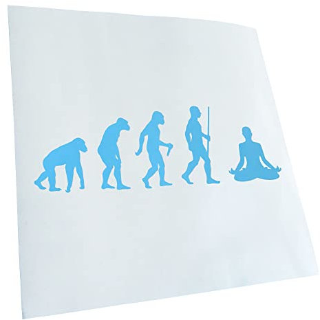 Kiwistar - Autoaufkleber - Yoga Gymnastik Evolution 4 - lichtblau - 20x6,5cm - Aufkleber für Auto, Laptop, Fahrrad, LKW, Motorrad mehrfarbig JDM Decal Racing