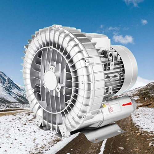Soffiatore rigenerativo 0,16 HP 0,24 HP 0,33 HP 0,47 HP Vortex Ring Blower 110 V 50 Hz pompa a vuoto industriale monofase per aria o aspirazione per aerazione acquari pesci stagni (370 W/0,5 HP)