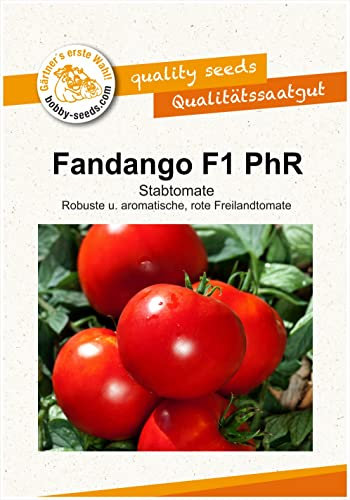Tomatensamen Fandango F1 PhR Salattomate Portion