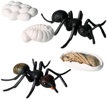 VICASKY Ameise Wachstum Lebenszyklus Figur Spielzeug Streich Lustige Neuheit Gefälschte Event Party Zubehör Pädagogisches Modell für Halloween 5 Teiliges Set Aus Künstlichen Ameisenmodellen