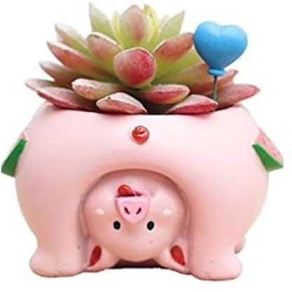 Youfui Niedlicher Sukkulenten-Blumentopf für Heimdekoration, Geschenk (Schwein)