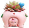 Youfui Niedlicher Sukkulenten-Blumentopf für Heimdekoration, Geschenk (Schwein)