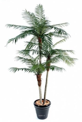 Artificielles.com - Palmier Phoenix Artificiel H 250 cm D 140 cm 38 Palmes 3 Troncs en Pot
