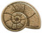 Snail Shell - Aufnäher - bestickter Aufnäher / Abzeichen / Emblem