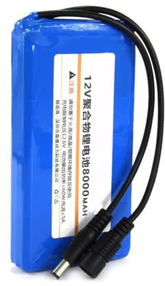 WILLQ Wasserdichter Akku 12 V 8000 mAh Polymer-Lithium-Akku 12 Volt wiederaufladbarer Li-Ionen-Akkupack mit Gleichstromanschluss für 12 V Elektrogeräte Tragbarer Backup-Akku