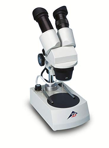 3B Scientific W30666-230 Stereo-Mikroskop, 40x, Durchlicht LED (230V, 50/60 Hz)