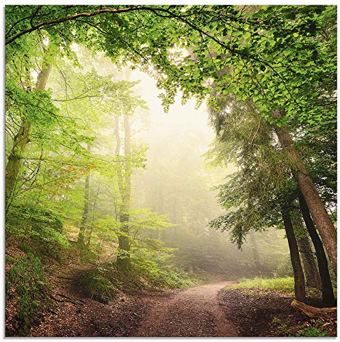 ARTland Wanddeko Glasbilder Wandbild Glas Bild einteilig Quadratisch Wald Baum Natur Landschaft Nebel Sonne Sommer Landhaus T5GR