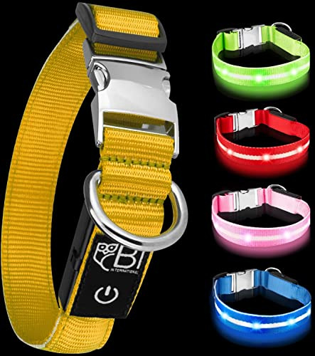 Leuchthalsband für Hunde [Das Original] Leuchtendes LED Hundehalsband zum spazieren gehen auch im Dunkeln- sehr Lange Akkulaufzeit – Sicher Dank hochwertigem Metallverschluss (S (28-40 cm), Gelb)