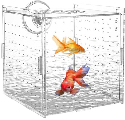 Dopsyesn Aufzuchtbox Für Aquarien, Stabiler Jungfisch Separator Für Aquarien, Transparenter Brutkasten Mit Trennwand Zur Aufzucht Von Guppys Kaiserfisch Laich Und Jungtieren