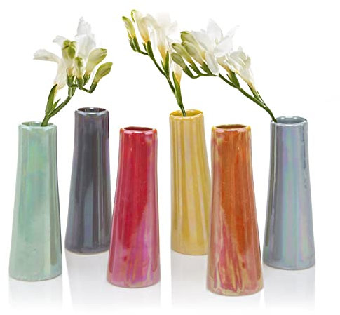 Chive Petit Vase à Fleurs « Galaxy » — Joli Vase en Verre pour Fleurs et Plantes d'intérieur — Lot de 6 Couleurs Assorties — Mélange Orange