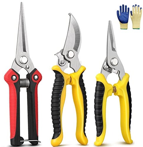 GEEDIAR Garden Secateurs, 3 Pack Pruning Scissors Garden Secateurs Kit with Stainless Steel Blade Locking Mechanism and Garden Gloves for Fruit Branch, Hedge, Bouquet Making & Vegetables, Plants