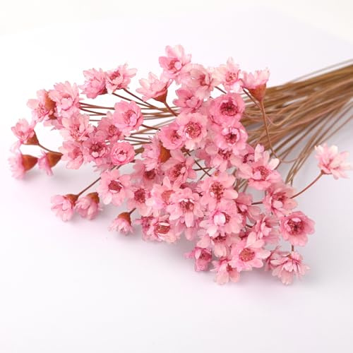 100 Zweige kleine Sternblumen, rosa brasilianische Sternblumen für DIY-Kunst, Kunstharz, Scrapbooking, Schmuckherstellung, Blumendekorationen