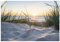 ARTland Wanddeko Wandtattoo selbstklebende Vinylfolie 130x90 cm Strand Meer Ostsee Maritim Küste Düne Landschaft Natur T9QU