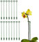 15 Stück Pflanzenstab, AMONENZ 27cm Pflanzen Stütze, Solide Pflanzenstützen, Schützen Pflanzen Vor Neigung, für Pflanzen, Amaryllis, Blume, Rose, Paprika, Lilie, Pfingstrose