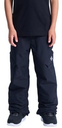 DC Shoes Boy's Banshee Youth Pant Hiking Pants