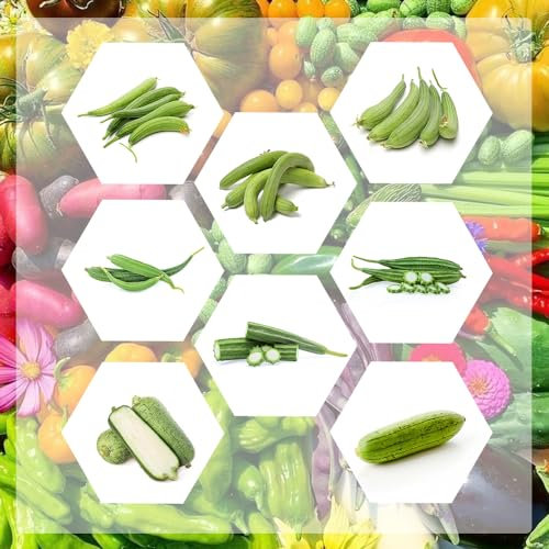 50 pcs luffa samen bio - frisches gemüse, exotische pflanzen samen (Luffa cylindrica) samen gemüse alte sorten, balkonpflanzen winterhart samen gemüse, hochbeet alte gemüsesorten samen