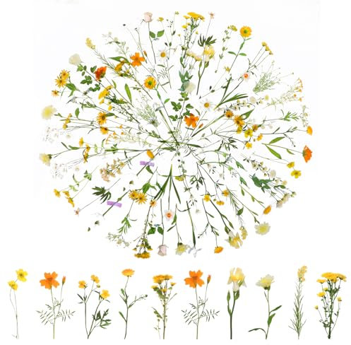 120 Transparente Scrapbooking Aufkleber, PET Blumen Aufkleber Pflanzen Sticker, Flower Stickers, Blumenaufkleber für Scrapbook Fotoalbum Sammelalbum Laptops Handwerk(Gänseblümchen)