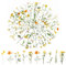 120 Transparente Scrapbooking Aufkleber, PET Blumen Aufkleber Pflanzen Sticker, Flower Stickers, Blumenaufkleber für Scrapbook Fotoalbum Sammelalbum Laptops Handwerk(Gänseblümchen)