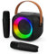 Jeefu Karaoke Maschine mit 2 Karaoke Mikrofon, Tragbaren Bluetooth Lautsprecher für Erwachsene/Kinder, Geschenk Spielzeug Junge 3-15 Jahre, Mini Karaoke Maschine mit Disco Licht, Ideal für Party