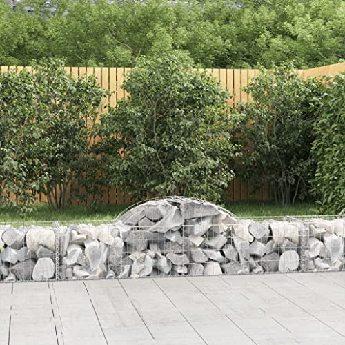 Mandloder Gabionen mit Hochbogen, 40 Stück, 200x50x40/60 cm, verzinktes Eisen, langlebige Gartenbegrenzung, für Steine und Kies, ideal für Garten & Terrasse