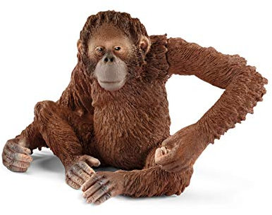 SCHLEICH WILD Life | Orang-Utan Weibchen 14775 | detailgetreue Tierfiguren | Zoo Spielzeug Jungen und Mädchen | Deko für Geburtstag | Spielfigur ab 3 Jahren | 8 x 6 x 6 cm