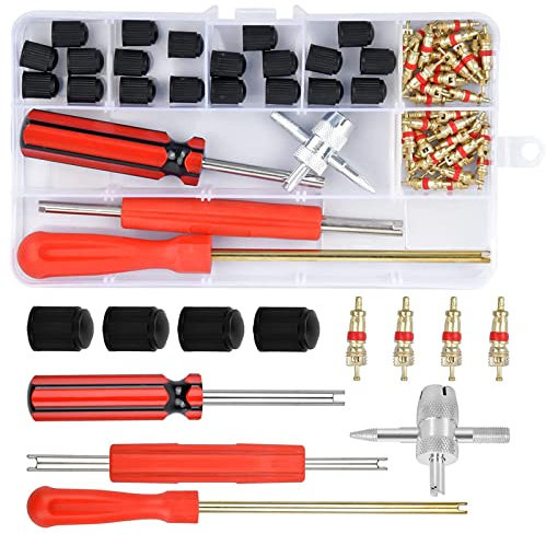 Dfuqanb 64 Piezas Herramientas de Las Válvulas de Los Neumáticos, Extractor Valvulas Neumaticos, Núcleos de Válvula, Herramientas de Válvulas de Neumáticos, Apto para Coches, Motos, Bicicletas.