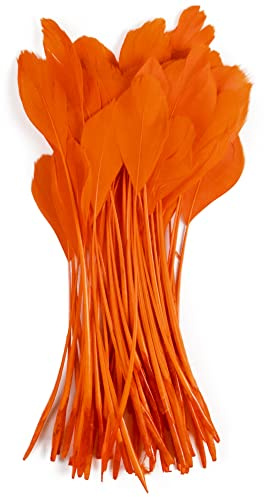 FEARAFTS White Goose Feathers for Crafts Hats Making Fascinators Decoration Pack of 50 (Orange)