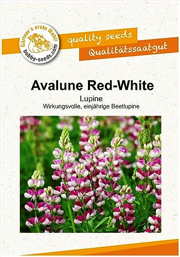 Blumensamen Avalune Red-White Lupine Portion