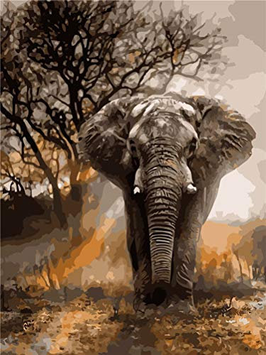 Amiiba Kit de peinture par numéros pour adultes et enfants Motif éléphant africain et arbre 40,6 x 50,8 cm Peinture acrylique par numéro Décoration murale (sans cadre)