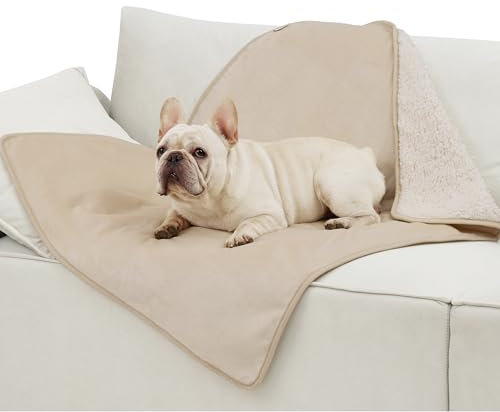 Lesure wasserdichte Hundedecke Grosse Hunde - 100x80cm Outdoor Hundedecke waschbar, Hundedecke Sofaschutz aus Sherpa Fleece, Katzendecke flauschig und weich, Cremefarben