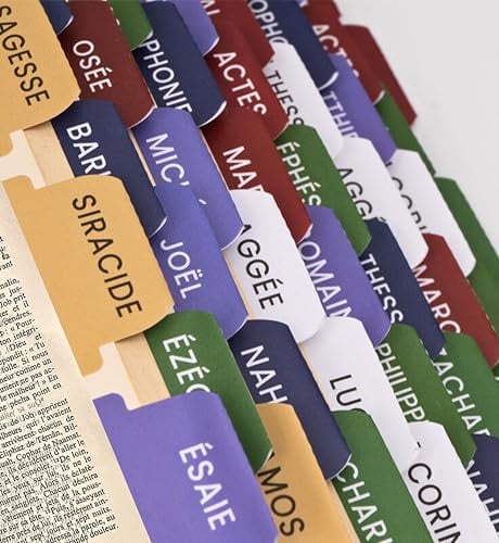 80 onglets bibliques en français en version catholique, protestant et témoin de Jéhovah – séparateur pour Bible aux couleurs liturgiques, marque-page, étiquette chrétien (Bible catholique)