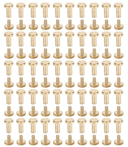 50pcs décoratifs en laiton Rivets à tête plate Vis de travail en cuir de travail manuel (10 mm / 0,39 pouces)