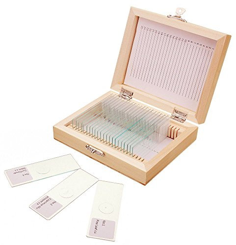 Jiusion 25Pcs Prepared Microscope Slides Set with Fitted Wooden Case, Animals Insects Plants Flowers Sample Biological Specimen, Stereo Microscope Slide for Basic Biological Science Education