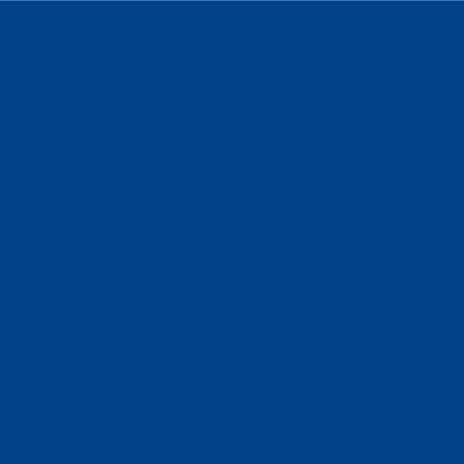 UPOL RAPTOR Pick Up Transportflächen Fahrzeug Beschichtung 948ml + 100ml Acryl Lack zum einfärben (RAL 5005 Signalblau)