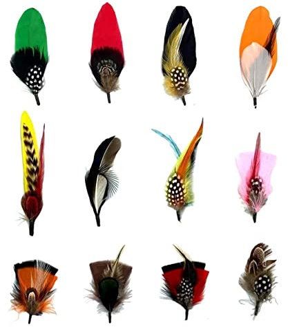 runrayay 12 Plumas para Sombreros, Plumas Naturales variadas para Sombreros Fedora, Paquetes de Plumas de Colores, Accesorios para Hombres y Mujeres, Sombreros de Vaquero, Sombreros Trilby, Sombreros